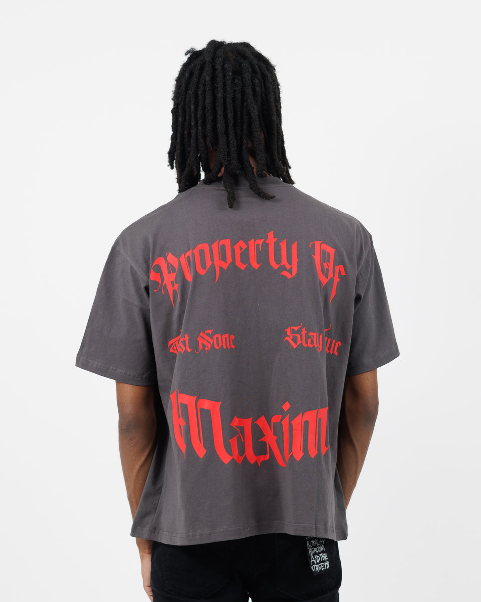 Sanity P.O.M Gray Tee